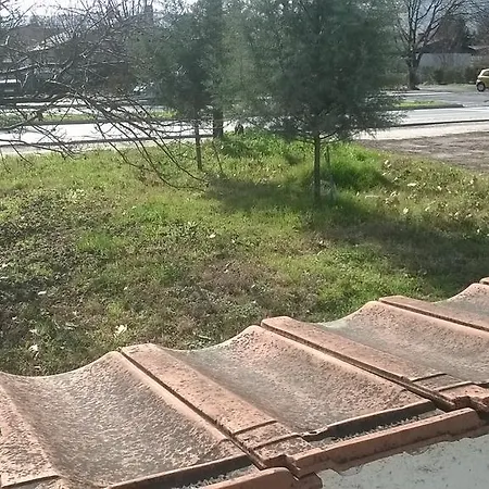 Fox Гостевой дом *